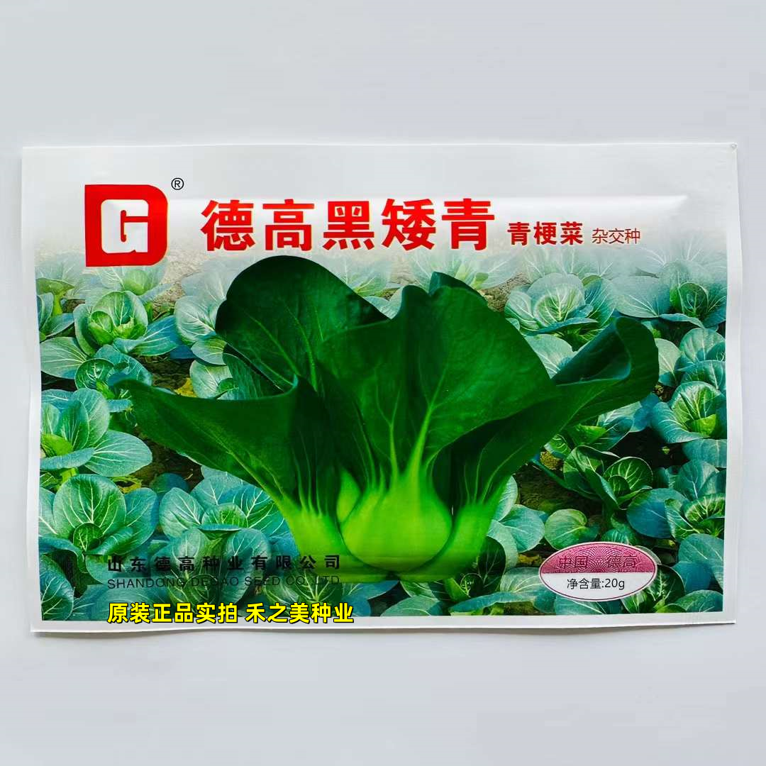 德高黑矮青菜种子苏州青一代杂交青梗菜种籽矮箕大头束腰春秋季播
