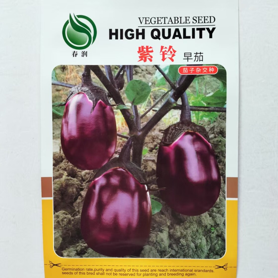 春润紫铃早茄子种子杂交种 高产紫红色卵圆茄形 喜肥耐热耐寒