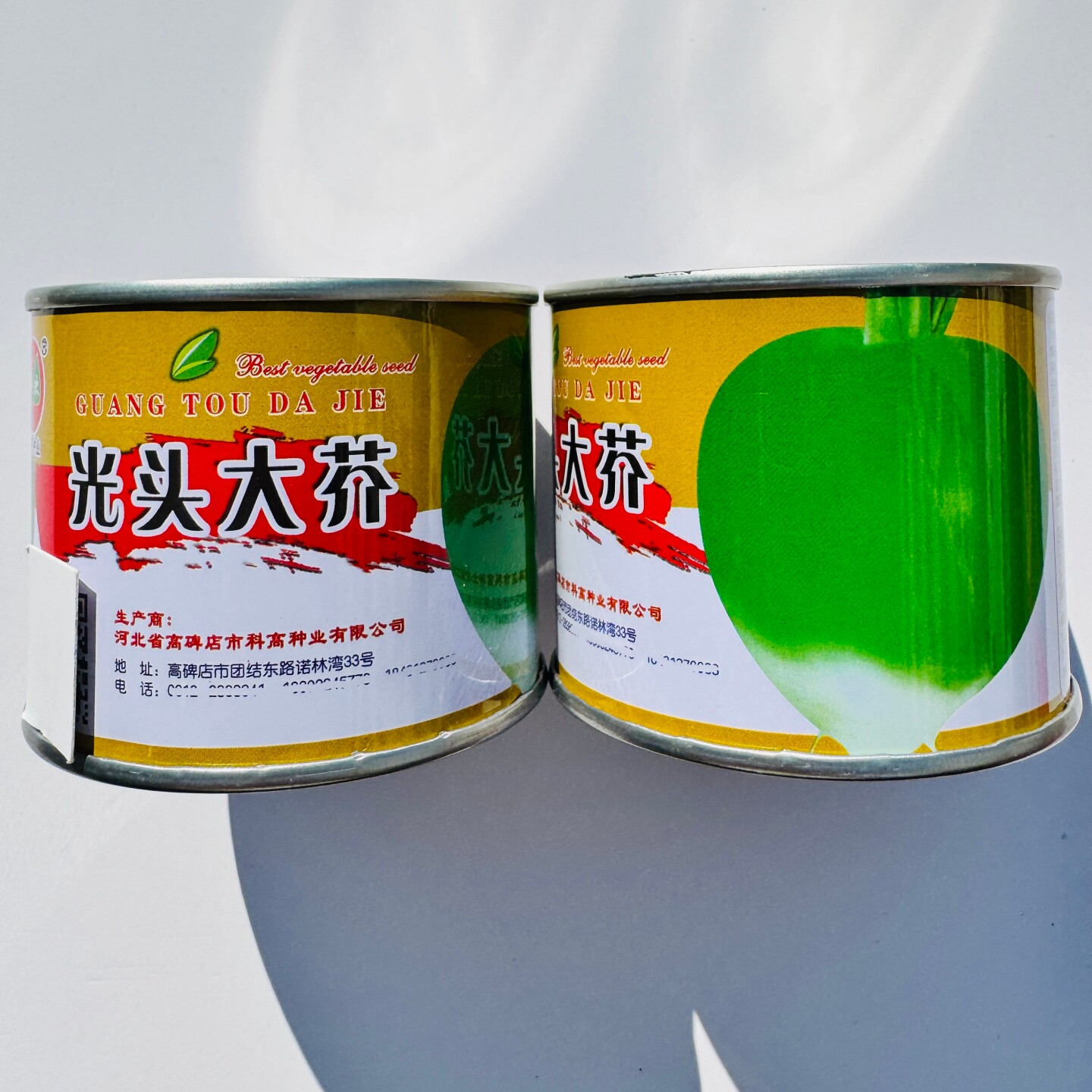 科高种业光头大芥菜种子淹渍脆嫩可口板叶芥菜疙瘩菜种籽秋季播种