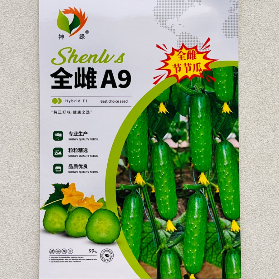 全雌A9节节瓜水果黄瓜种子高产早熟翠绿黄瓜种籽农家春夏秋季播种