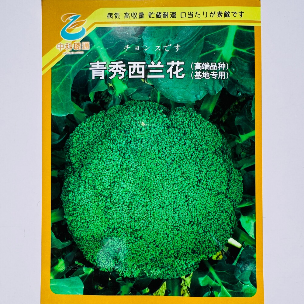 璐通青秀/青月西兰花种子抗病杂交中熟深绿花菜种籽农家春秋季播