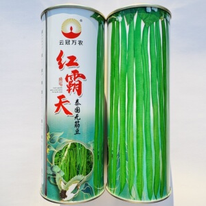 云冠万农红霸天泰国无筋豆种子高产中熟无纤维商品性好四季豆种籽
