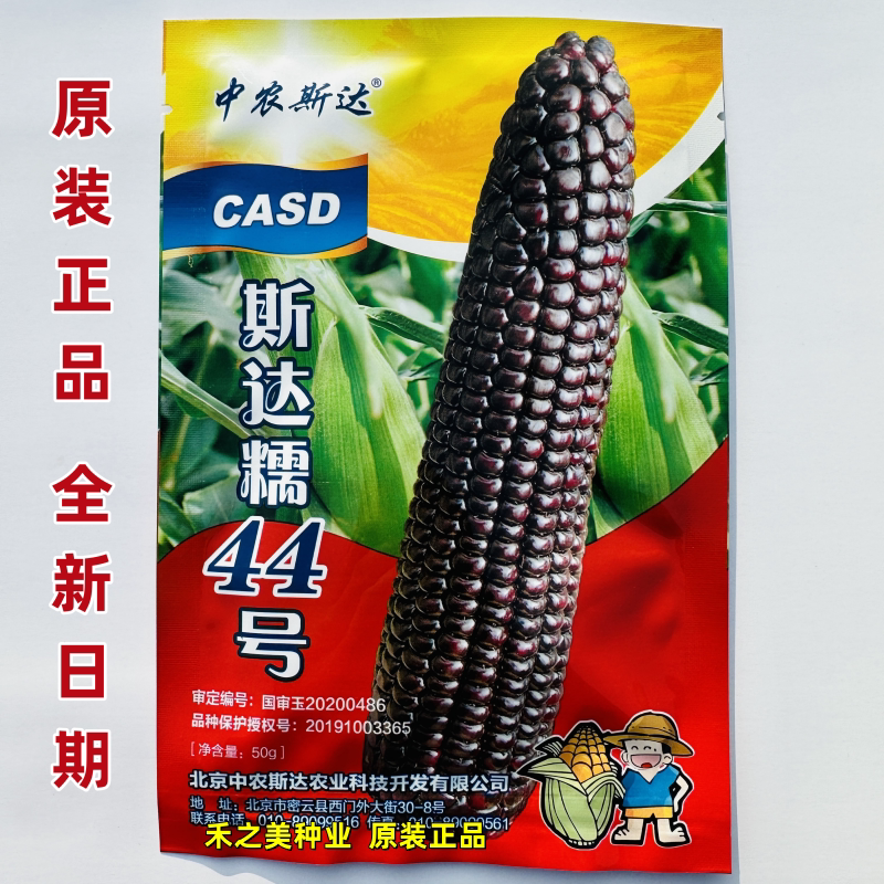 斯达糯44黑糯黑玉米种子甜糯高产粘甜糯米超甜糯香黑糯玉米籽种