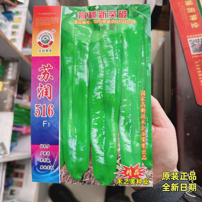 苏润516特大果粗长牛角椒苏润A6辣椒种子早熟微辣薄皮高产春秋播
