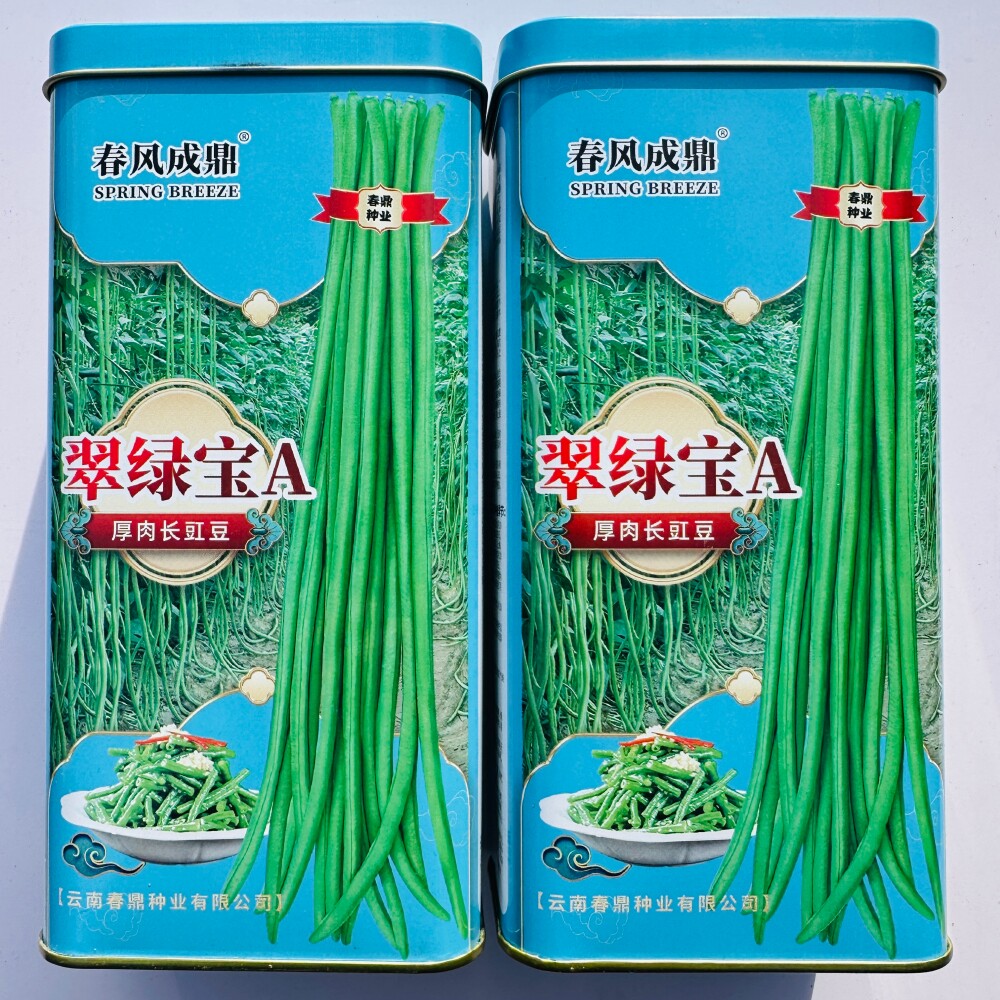 翠绿宝A厚肉长豇豆种子早中熟翠绿荚长豆角种籽大田基地春秋季播