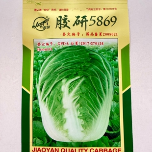 胶研5869大白菜种籽山东胶州冬储白菜种子秋季播大白菜种孑禾