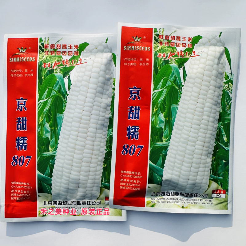 京甜糯807白糯玉米种籽种孑北京四海种业鲜食大棒甜加糯玉米种子