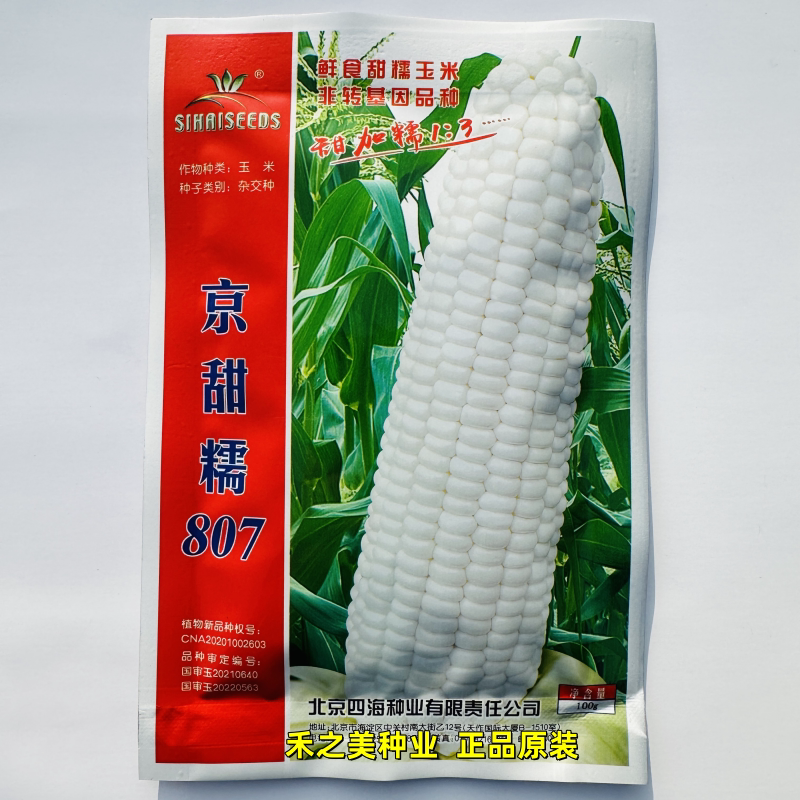 北京四海京甜糯807白甜糯玉米种子鲜食特大棒香糯甜粘早熟玉米籽
