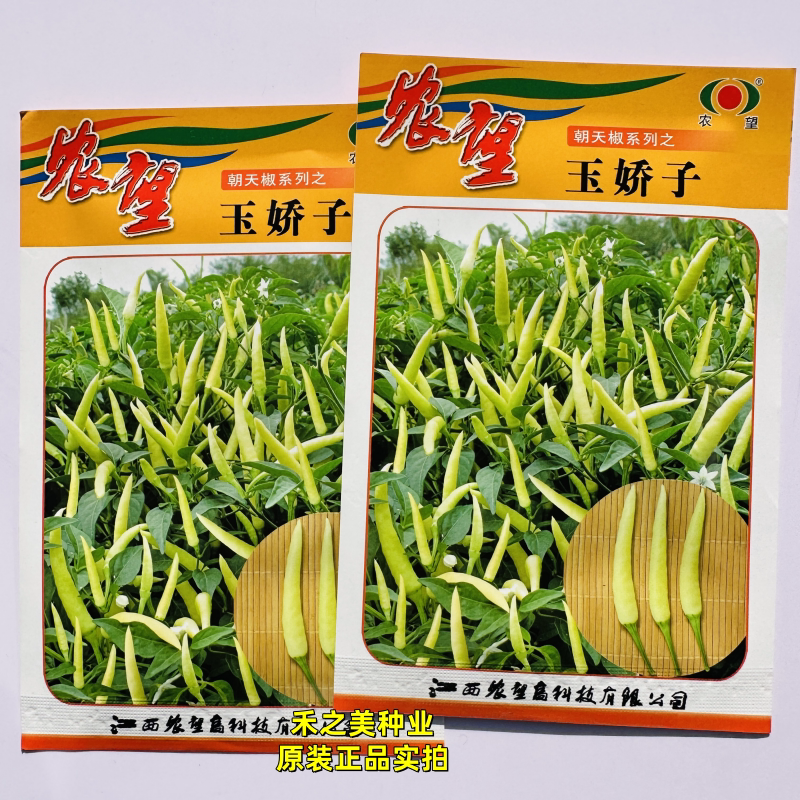 农望玉娇子辣椒种子早熟白色朝天椒特辣白米椒鲜食加工小米辣椒种