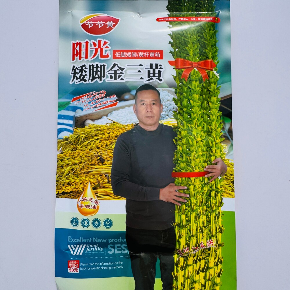 金阳光矮脚金三黄芝麻种子低腿矮脚耐热耐湿春夏季播种芝麻种籽孑
