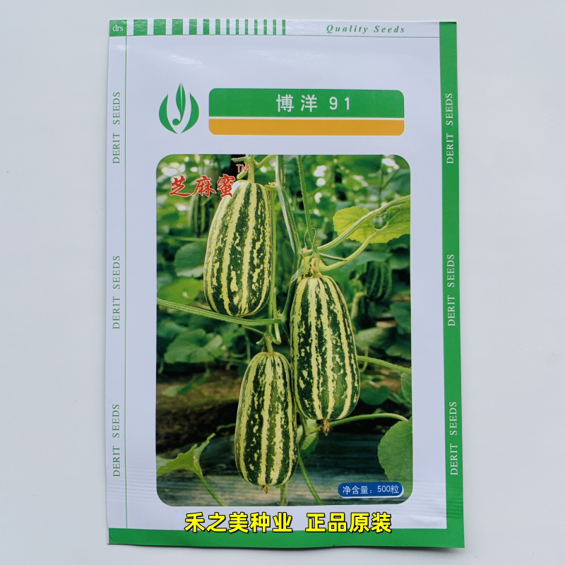 德瑞特博洋91甜瓜种子高端薄皮黄绿花皮香瓜种子口感酥脆甜瓜种籽