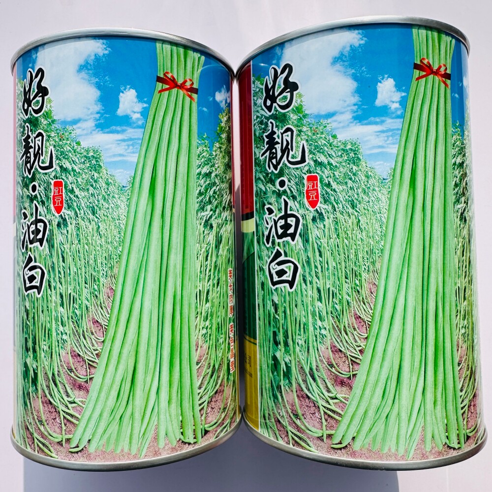 龙盛油白长豇豆种子早熟长荚厚肉浅绿白豆角种籽农家春秋季播种孑