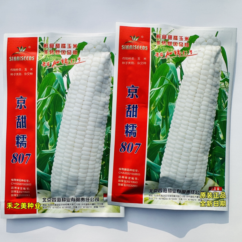 北京四海京甜糯807白甜糯玉米种籽子早熟香糯特大棒鲜食甜粘玉米