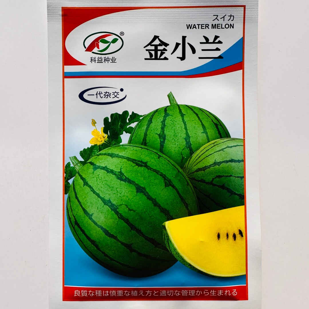科益种业金小兰黄瓤西瓜种子抗病杂交早熟口感好水果种籽早春播种