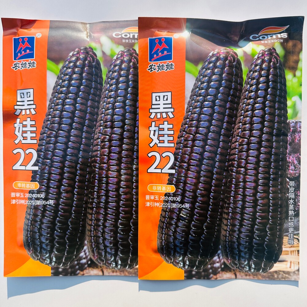 黑娃22黑糯玉米种子鲜食大棒甜糯苞谷种籽农家春季高产粘玉米种子