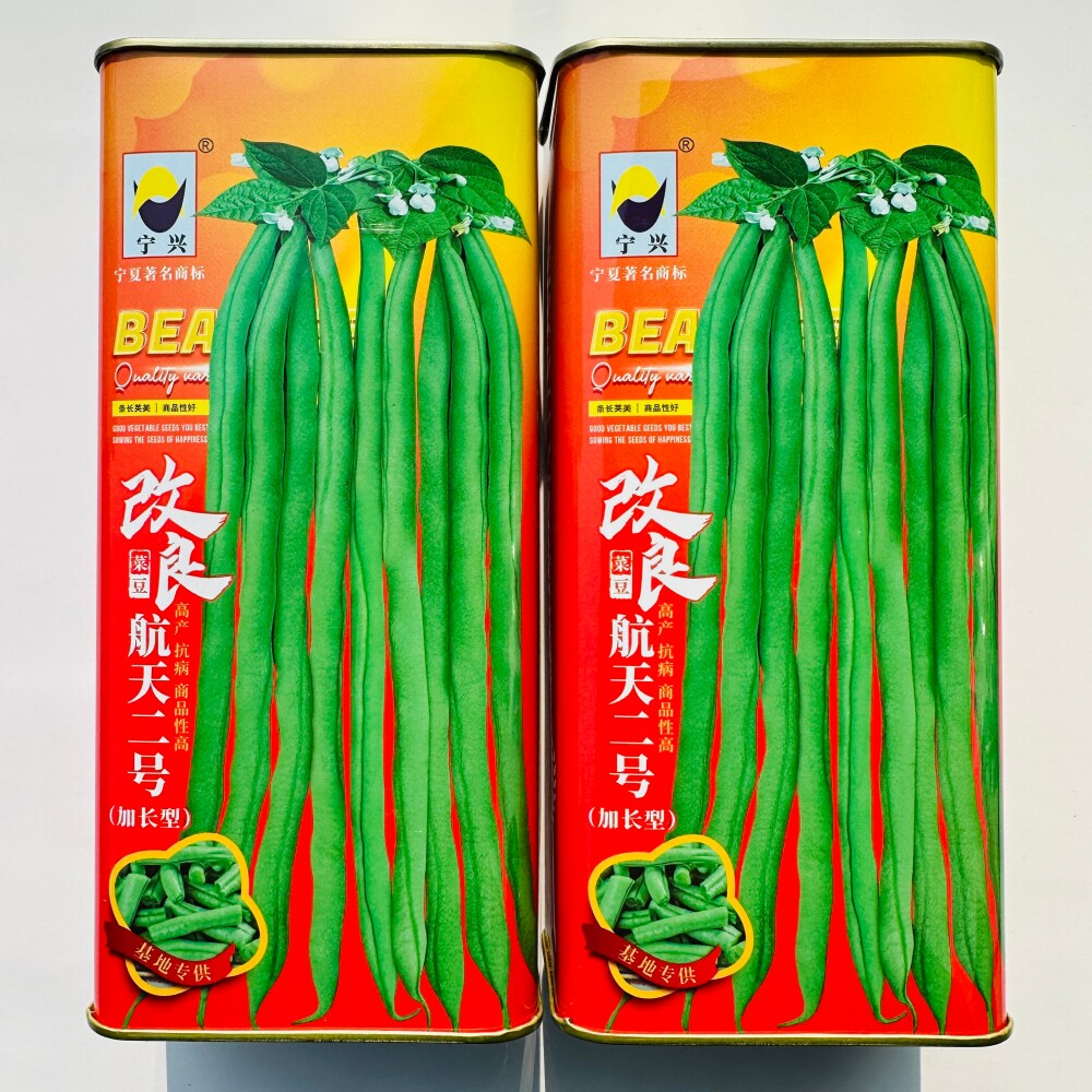 宁兴改良航天二号加长型无筋豆种子抗病高产纤维少架豆种籽春秋播