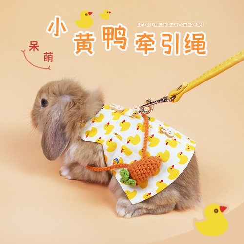 兔子衣服牵引绳荷兰猪饰品外出