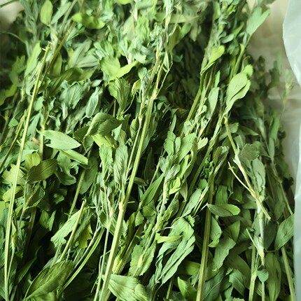 宠物兔粮紫花苜蓿草干草整草兔子烘干牧草成年龙猫荷兰猪豚鼠饲料