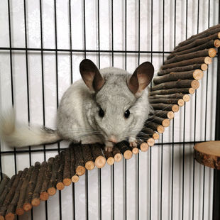 宠物兔子龙猫玩具爬梯苹果木栈道造景仓鼠玩耍木质吊桥跳台解闷