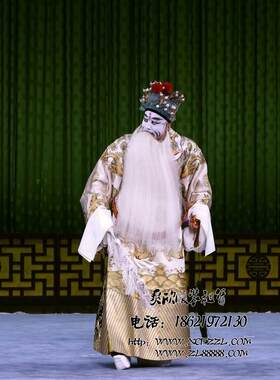 京剧越剧豫剧  司马懿空城计服装出租 诸葛亮空城计戏曲服装租赁