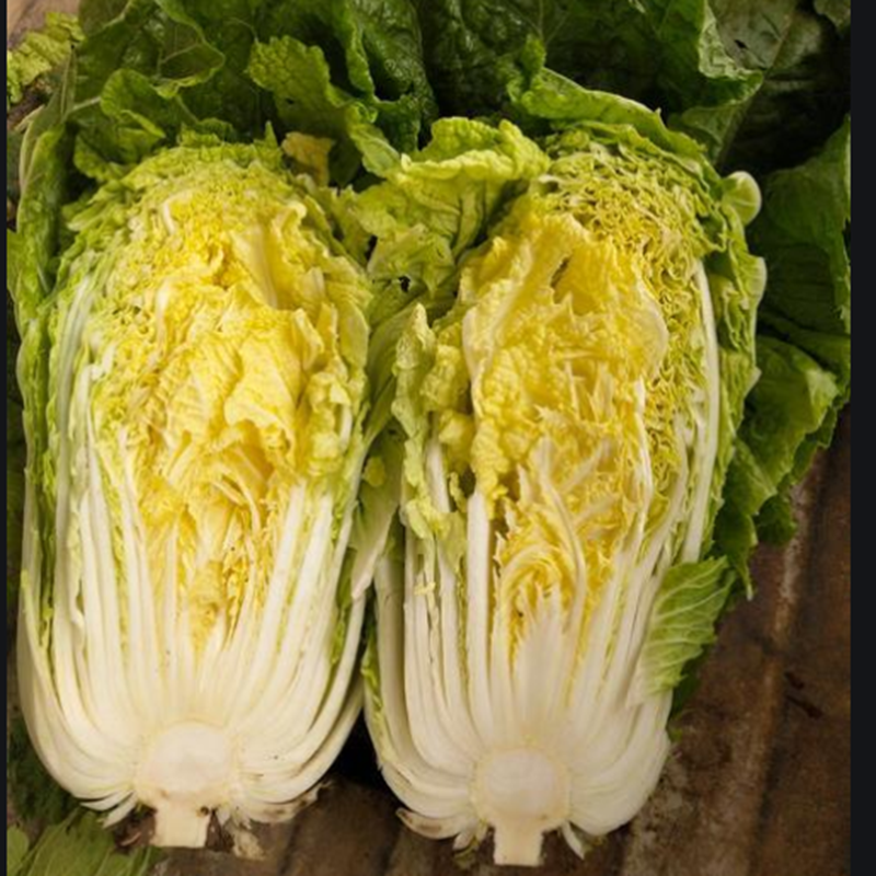 黄心红芯大白菜种子秋季蔬菜大面积种植高产老品种好吃耐储存