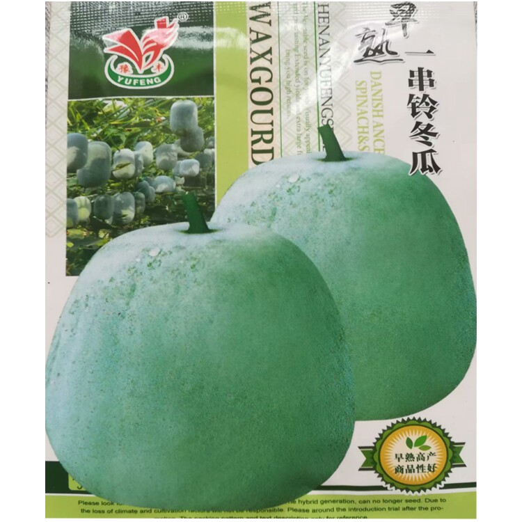 春夏早熟耐热冬瓜种子