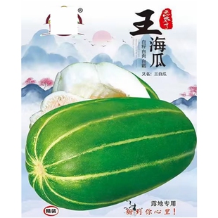 王海瓜甜瓜种子绿皮白肉带条纹肉厚多汁脆甜糖度高春秋种植蔬果