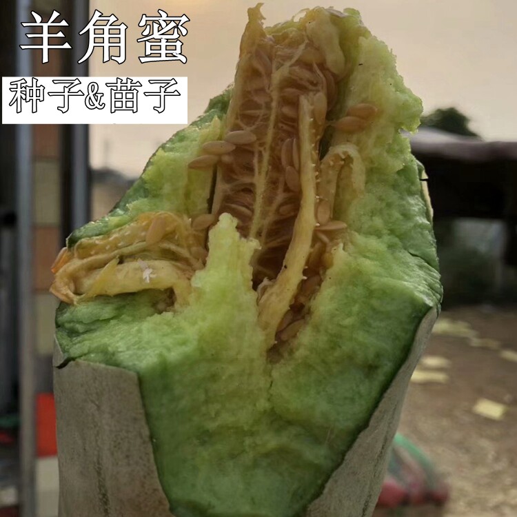 测试推荐春秋酥脆高产