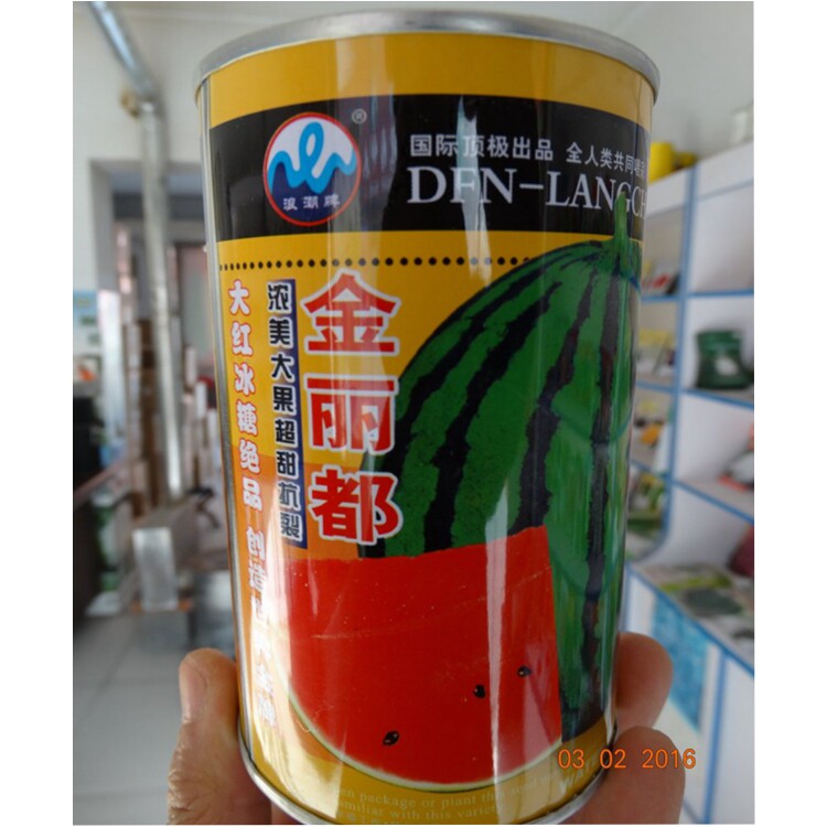 金丽都西瓜种大红圆宝西瓜籽梦露天使大果抗裂糖度高耐运输蔬果种