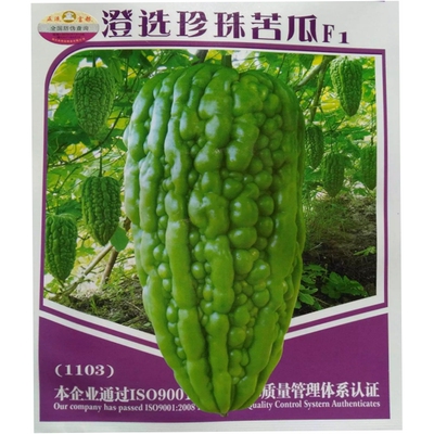 妍洋夏秋季高产大面积