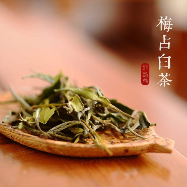 政和白茶梅占花果香白茶