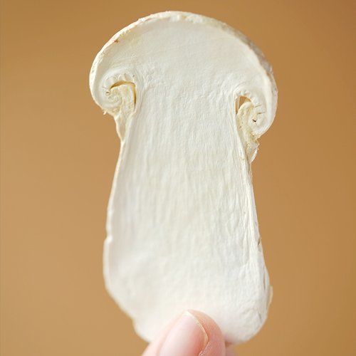 许氏醇品 雪山松茸冻干片干货新鲜菌菇新货炖汤煲汤营养养生