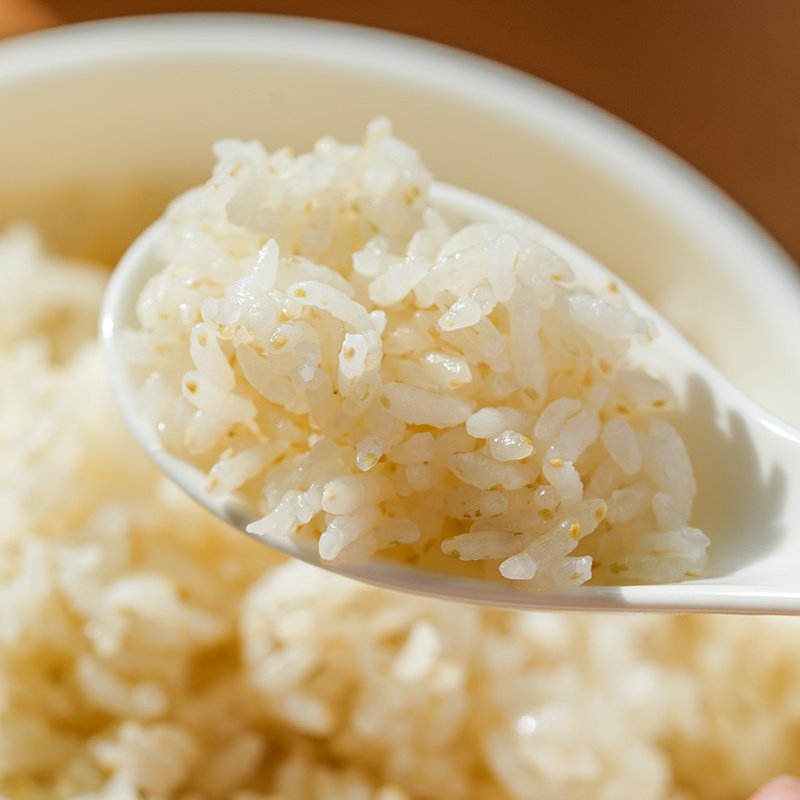 许氏醇品稻花香寒地胚芽米原芽留胚2025新米宝宝营养米糊辅食汤粥