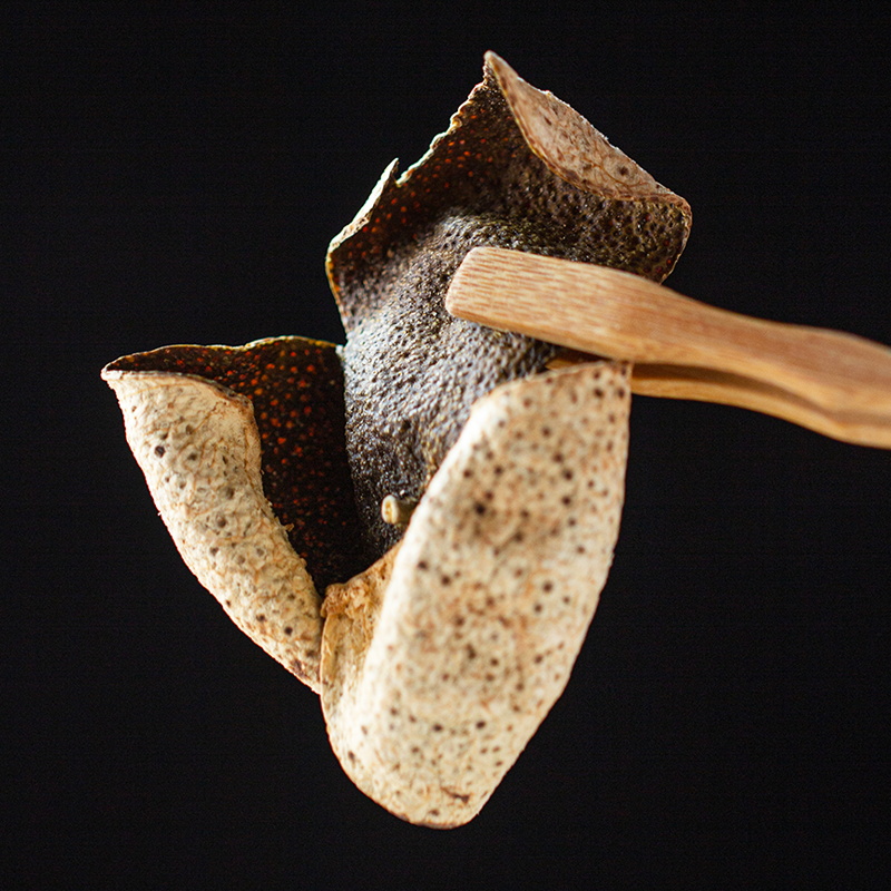 许氏醇品正宗15年特产老陈皮