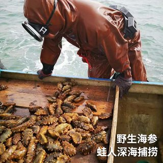 许氏醇品 海参即食大连海参500g鲜活辽参海刺参非淡干单个装礼盒