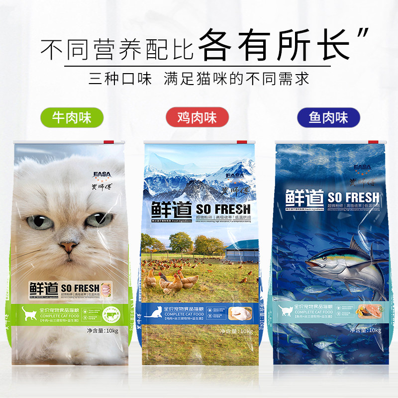 冀师傅全阶段天然英短挑嘴猫