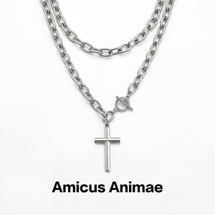 Amicus 金属粗链条轻奢锁骨链 Animae叠戴十字架吊坠银色项链男款