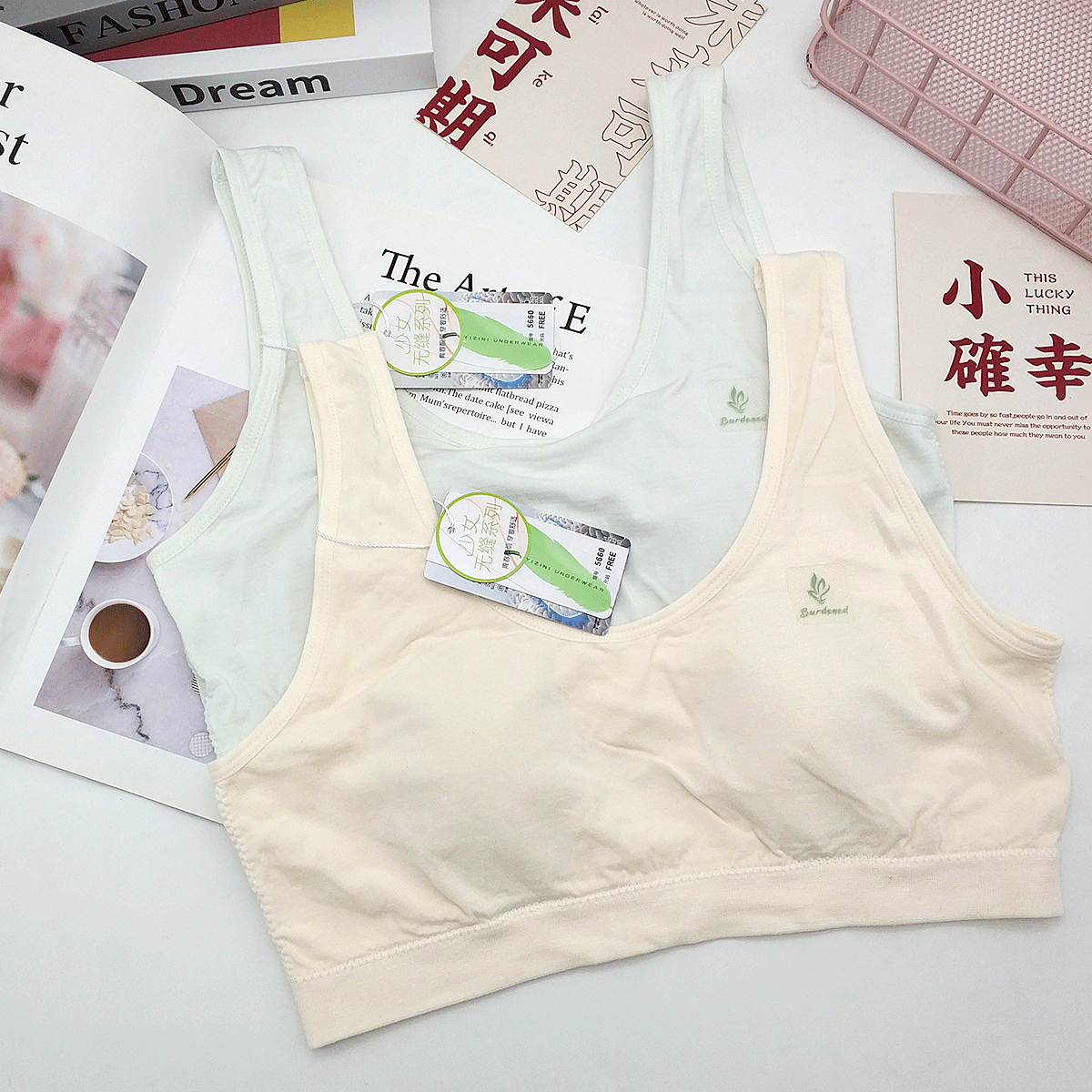 初中高中生固定杯内衣