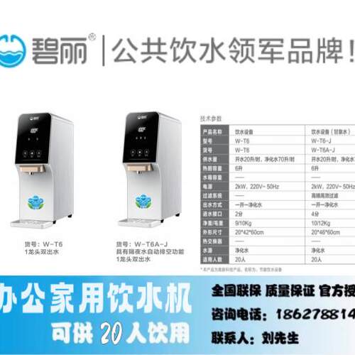 碧丽W-T6A-J直饮双出水净水器