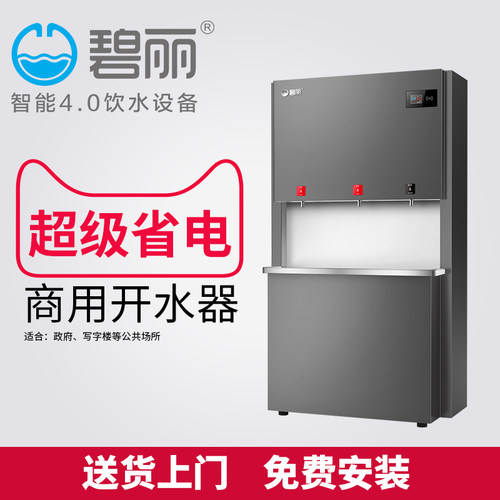 碧丽商用柜式反渗透直饮水机