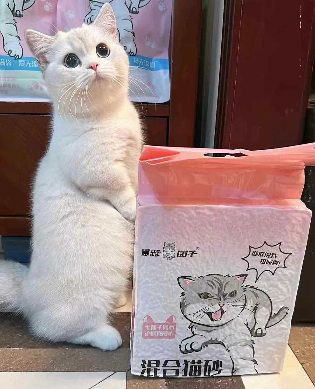 暴躁团子混合豆腐猫砂2.5kg