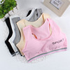junior middle school high school student girls underwear 12/13/14/15 girl CUHK Developmental stage Vest Wrap chest