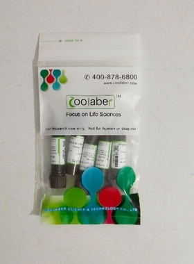 Coolaber/酷来搏 SL4150 氢化可的松储存液（1 mg/mL）
