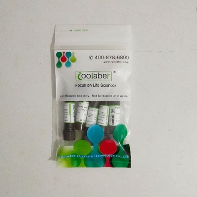 Coolaber/酷来搏 SL3920 青霉素G钠储存液（50 mg/mL）
