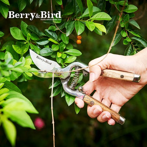 精致花枝剪｜Berry&Bird 园艺剪 花艺剪刀花艺剪刀园艺花枝修花剪