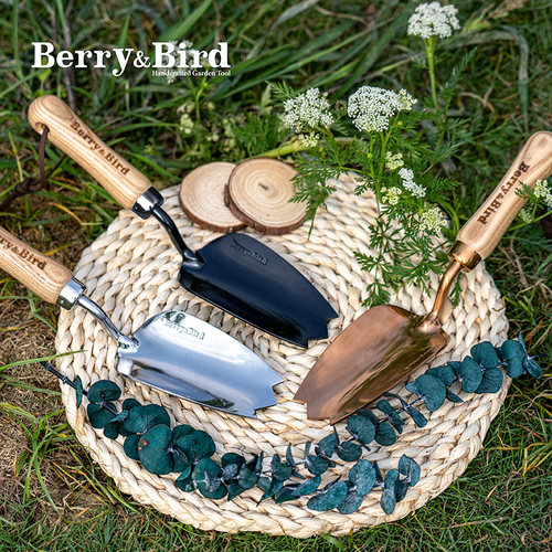 收藏级铲子｜Berry&Bird郁金香园艺铲子 造型 铲土 园艺品牌