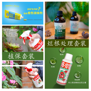 植保套装｜烂根处理组合 菌害修复国光愈伤膏伤口愈合剂101杀菌
