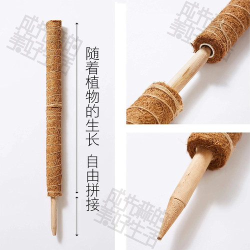 拼接棕榈柱｜攀爬植物必用 天南星科绿萝 绿萝柱 植物支撑 攀爬柱 - 封面