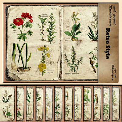 junkjournal素材纸12张