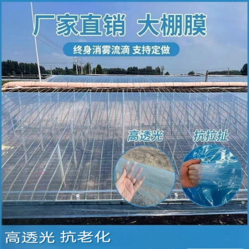 韩亚高保温PE高透光蔬菜大棚